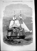 Original Old Antique Print Hm Steam Corvette Racoon 22 Guns Sails 1863