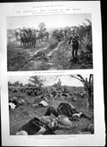 Antique Old Print Transvaal War Gordon Highlanders Rest Overturned Cart 1899