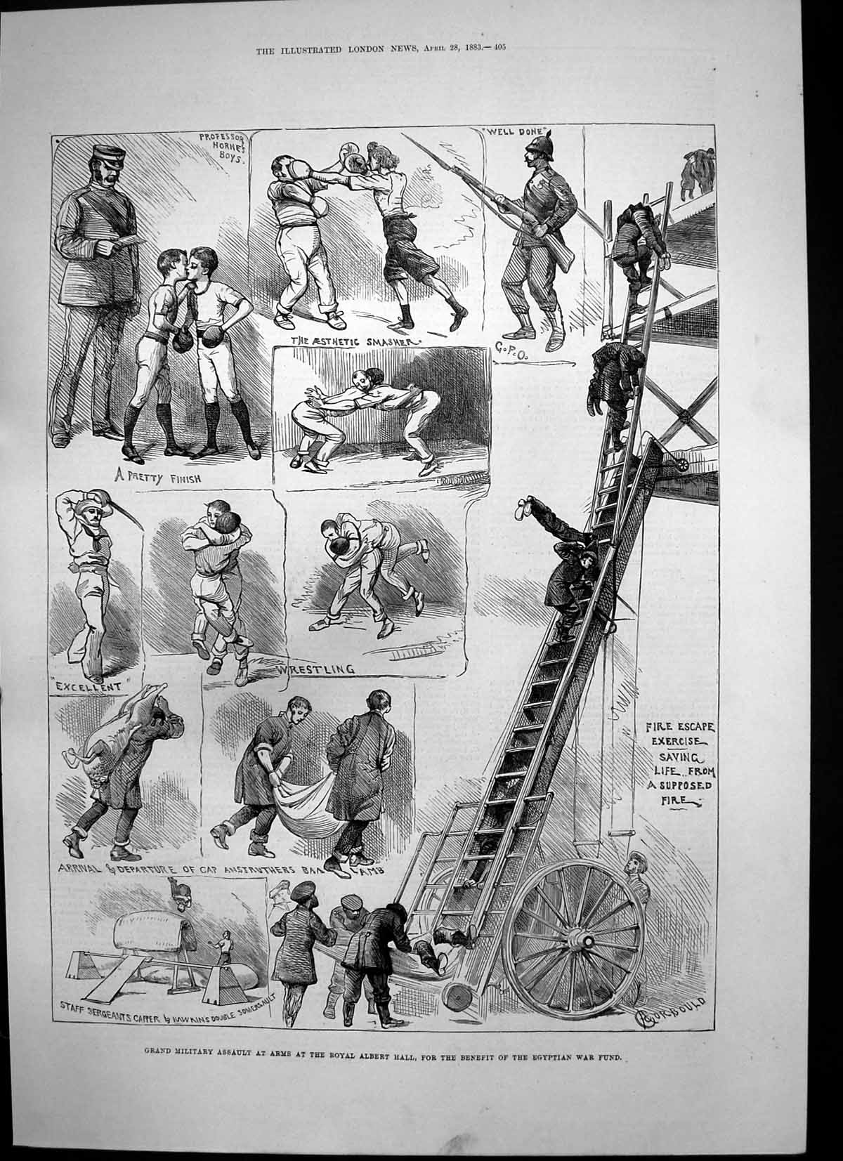 Old Print Grand Military Assault Arms Royal Albert Hall Egyptian Fund1883 19th
