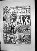 Original Old Antique Print Wimbledon Workers Artists Hosiery Policeman 1881