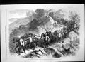 Antique Print Abyssinian Expedition Return Army Magdala Mountain Train 1868