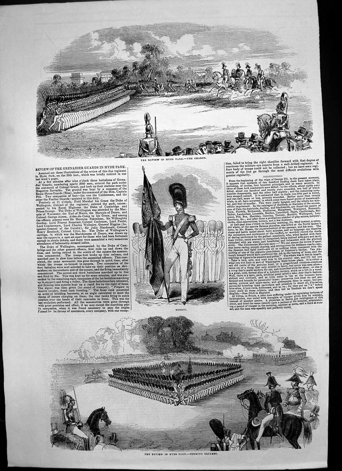 Old Antique Print Review Grenadier Guards Hyde Park Forming Squares 1843 19th