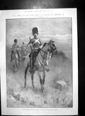 Old Antique Print Vedette 2Nd Dragoon Royal Scots Greys Home Uniform 1902