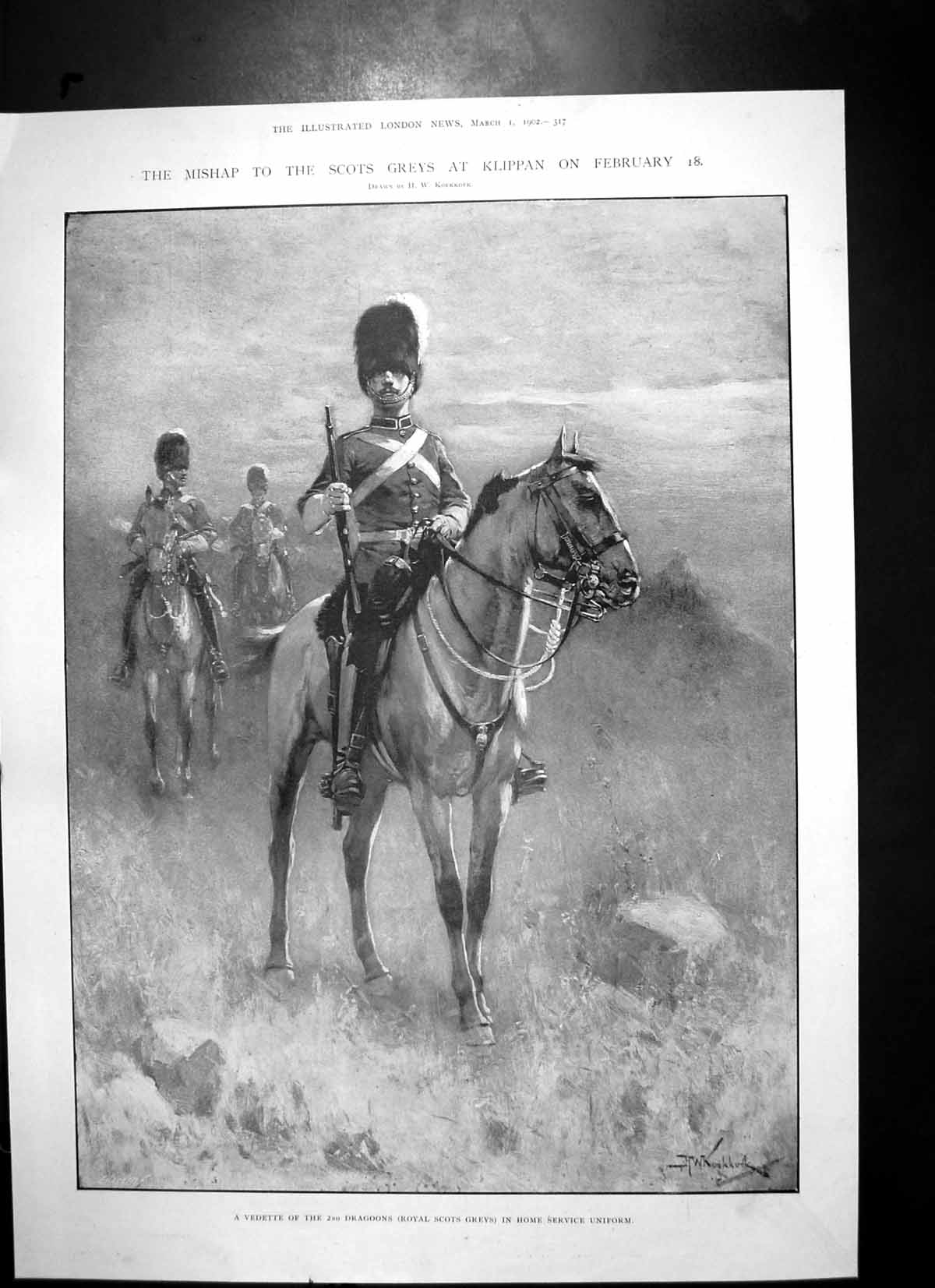 Old Antique Print Vedette 2Nd Dragoon Royal Scots Greys Home Uniform 1902