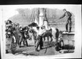 Antique Old Print Shipping Horses Onboard Calcutta Woolwich Canada Crane 1862