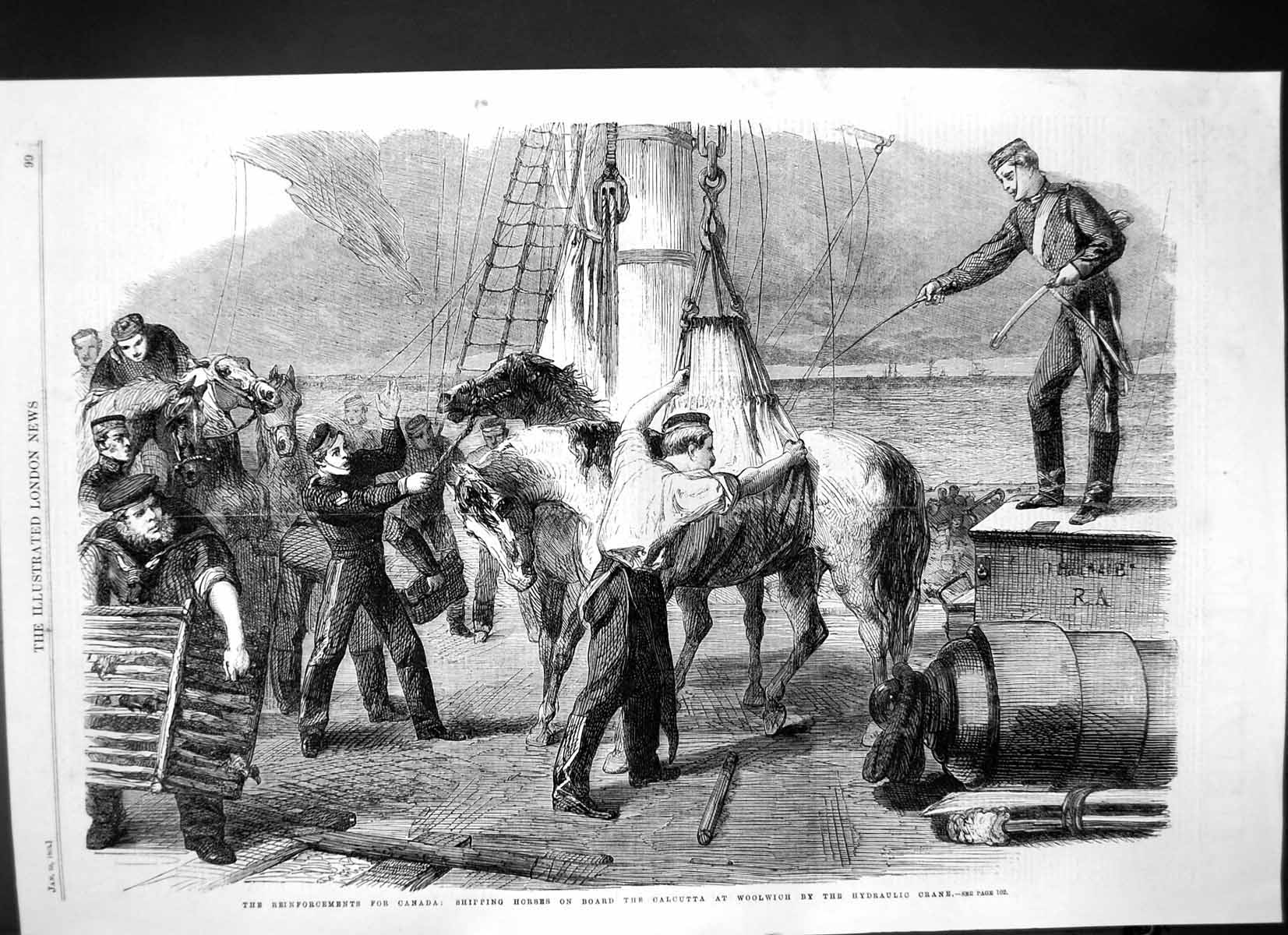 Antique Old Print Shipping Horses Onboard Calcutta Woolwich Canada Crane 1862
