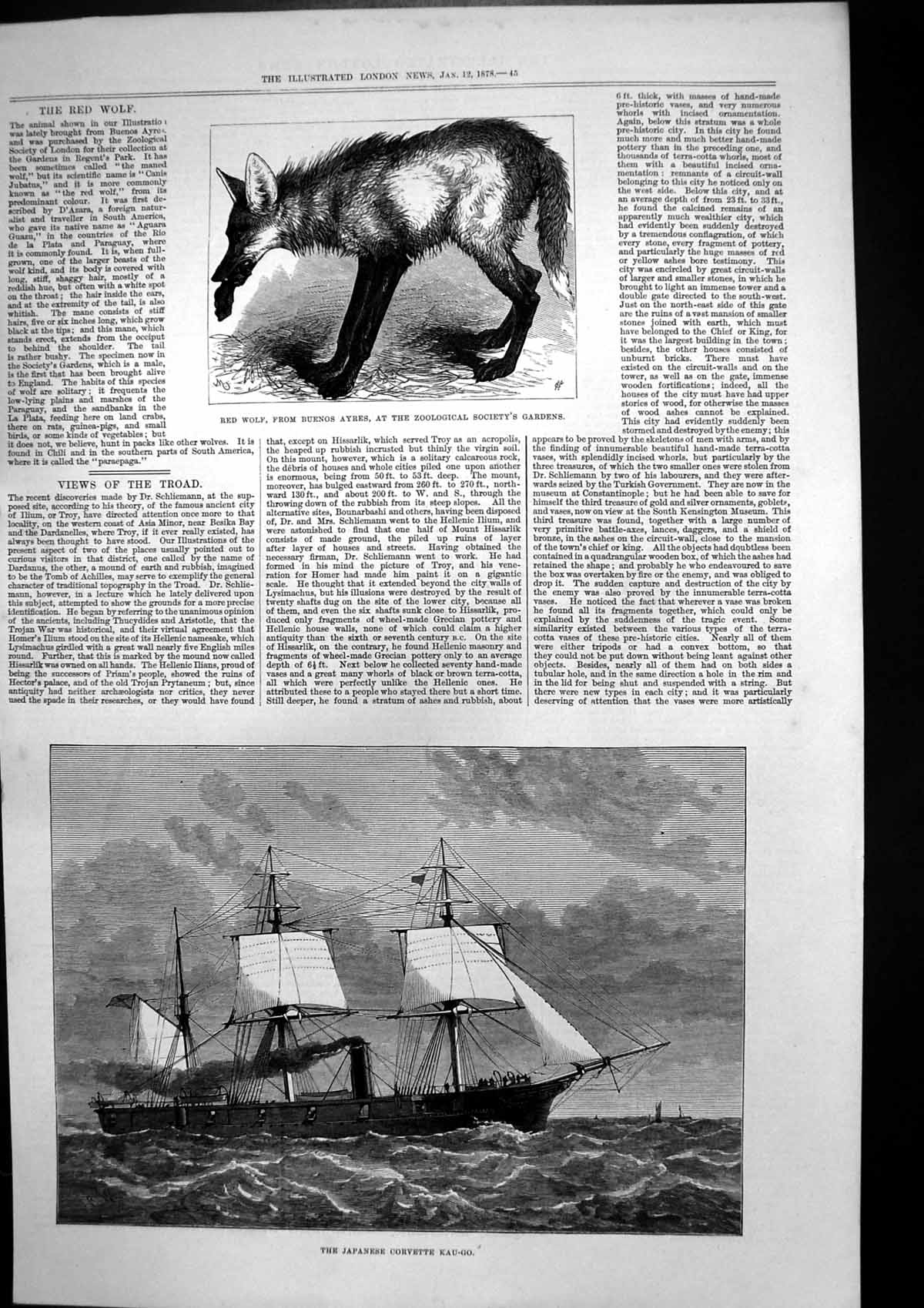Old Antique Print Japanese Corvette Kau-Go Red Wolf Buenos Ayres Zoo 1878 19th