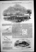 Antique Print Capt Jerninghams Experiment Saving Lives Shipwreck Perch 1846