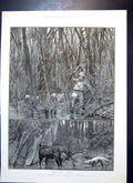 Original Old Antique Print Elk Sambhur Deer Hunting Ceylon Through Bamboos 1889