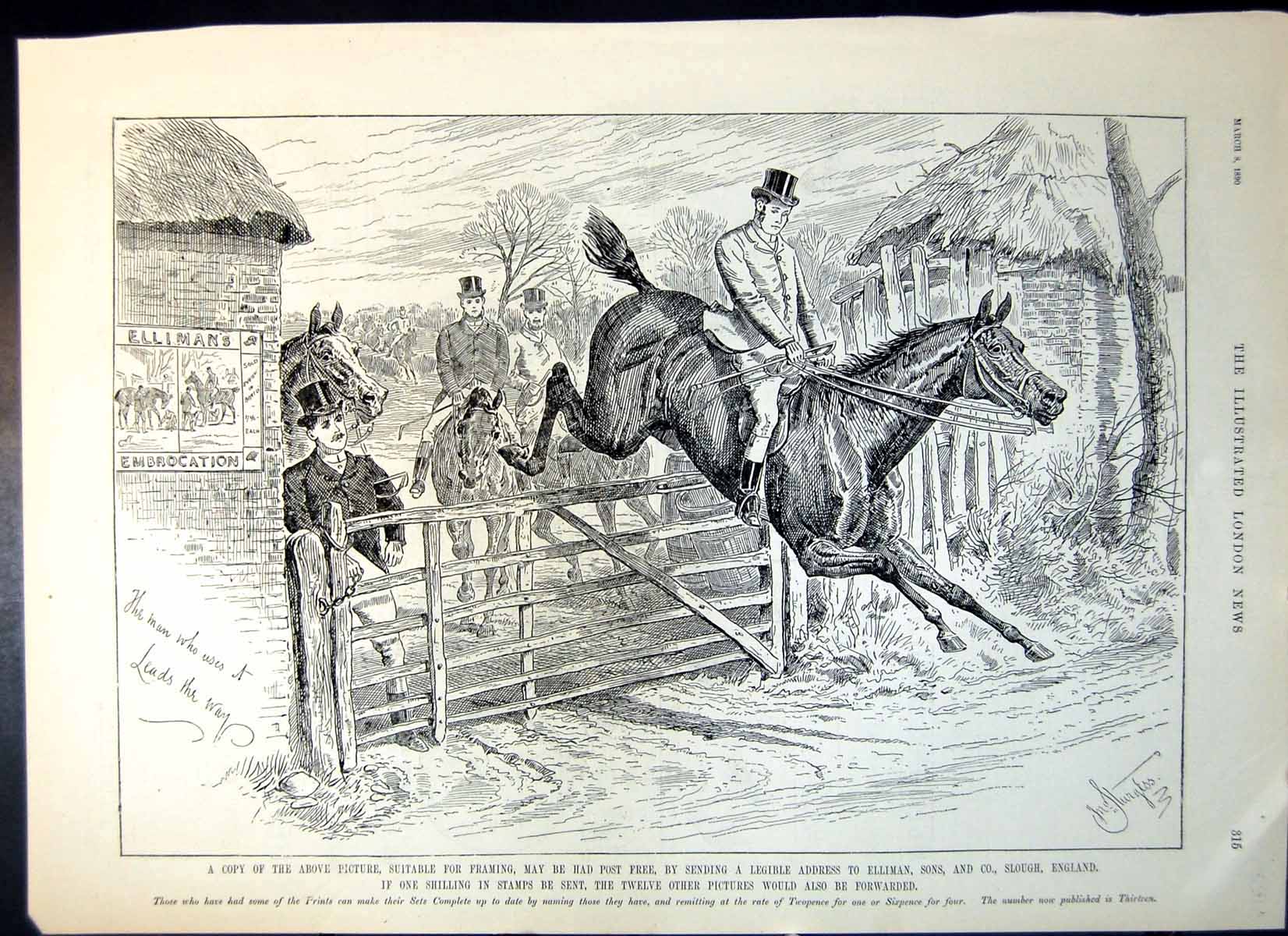 Antique Old Print Advert Ellimans Embrocation Horse Rider Jumping Gate 1890
