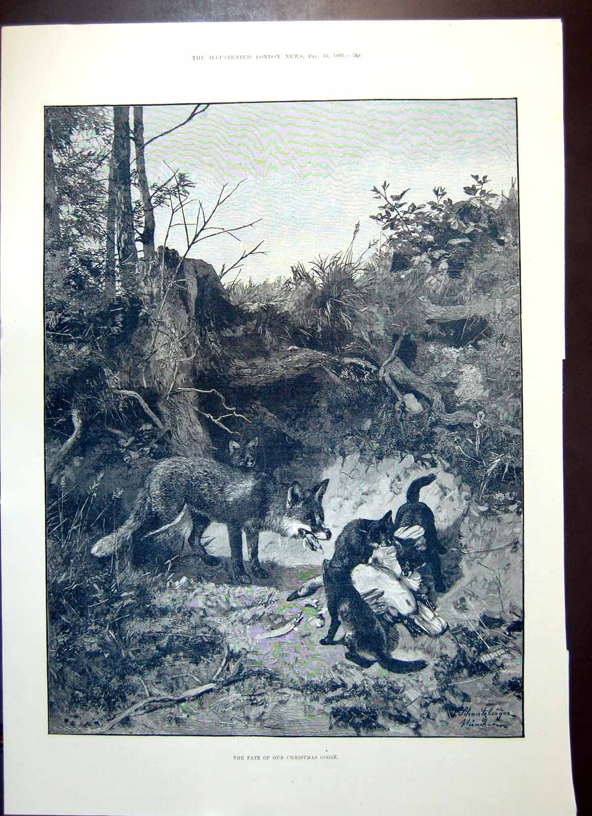 Old Antique Print Fate Christmas Goose Ludlow Castle Stokesay Castle 1893 19th