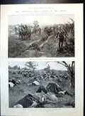 Antique Print Transvaal War Scenes Front Gordon Highlanders Dr H Hicks 1899