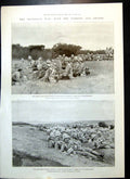 Antique Old Print Transvaal War Gordons Devons Way Elandslaagte Joubert 1899