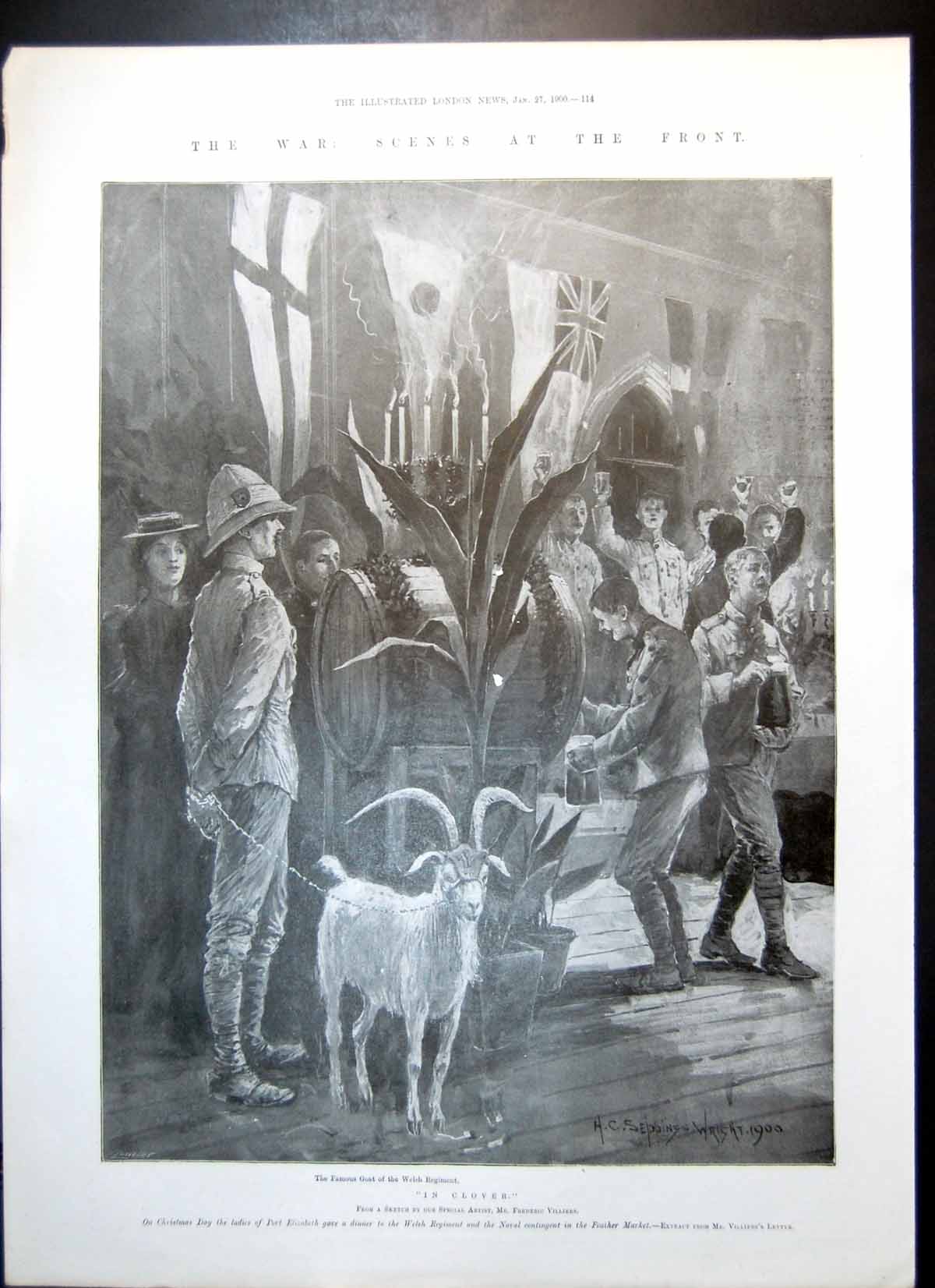 Antique Old Print War Goat Welsh Regiment Marquess Lothian Lady Northcote1900
