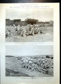 Antique Old Print Transvaal War Gordon Highlanders Battle Elandslaagte 1899