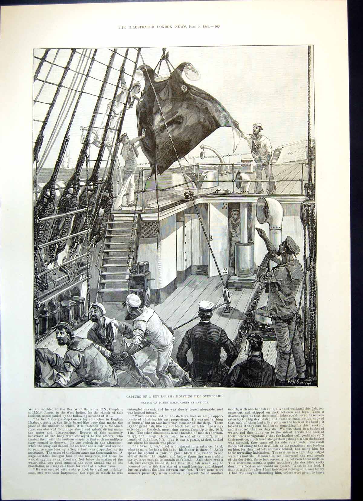 Old Print Capture Devil Fish British Consuls House Zanzibar Bananas 1889 19th