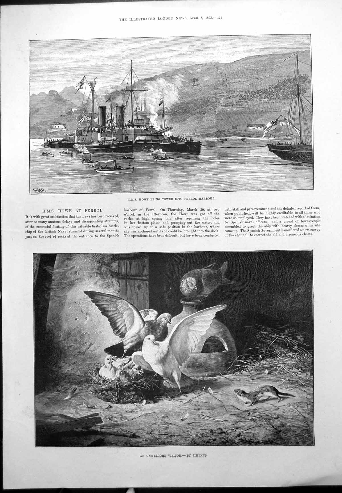 Old Antique Print Hms Howe Ferrol Unwelcome Visitor Pigeons Weasel 1893 19th
