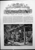 Antique Old Print British Guiana Native House Court Entrance Fruits Fish 1886