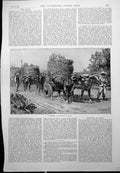 Antique Old Print Conveying Farm Produce Chile Blind Love Woman Garden 1889