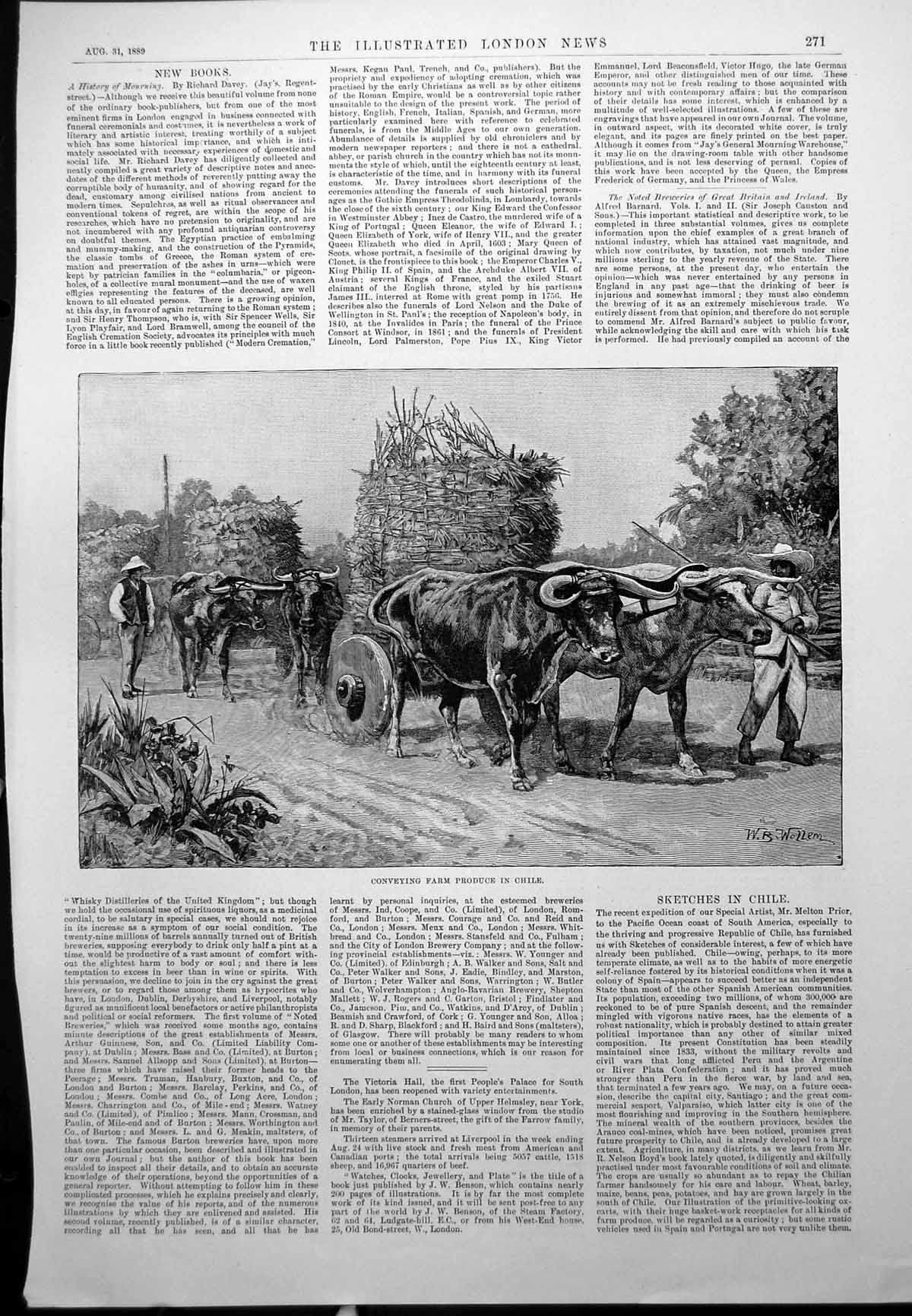 Antique Old Print Conveying Farm Produce Chile Blind Love Woman Garden 1889