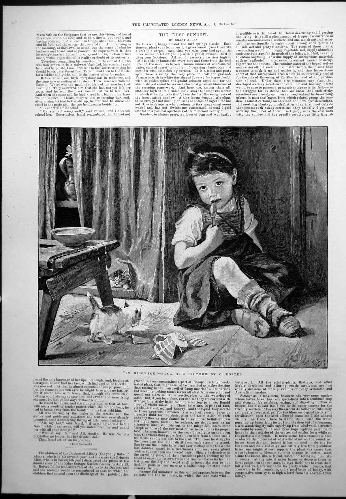 Old Print Disgrace C Rostel Girl Broken Cup Threw Fathers Body Rocks 1891 19th
