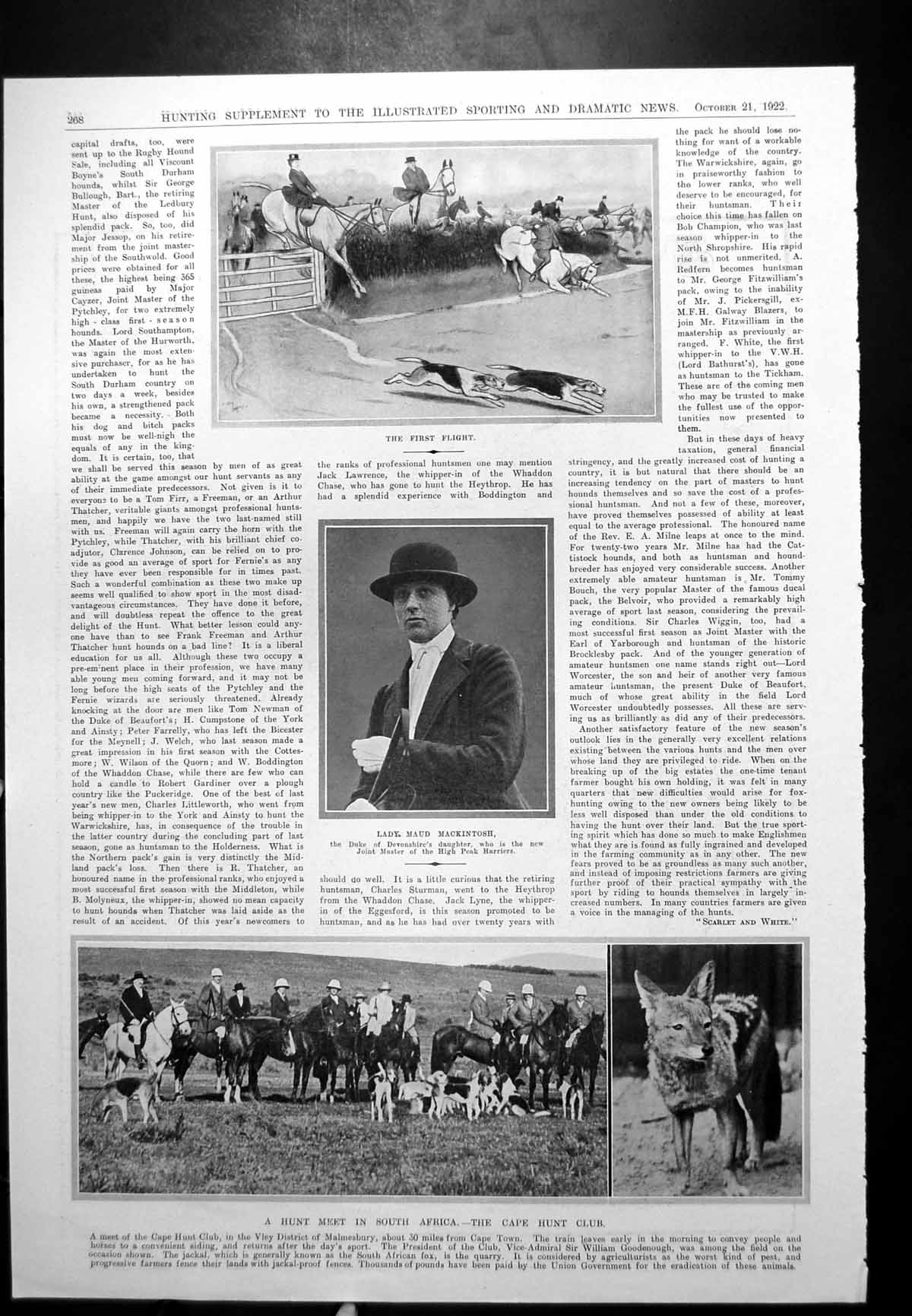 Antique Old Print Hunting Cape Hunt Club Viscount Lascelles Prince Fox 1922
