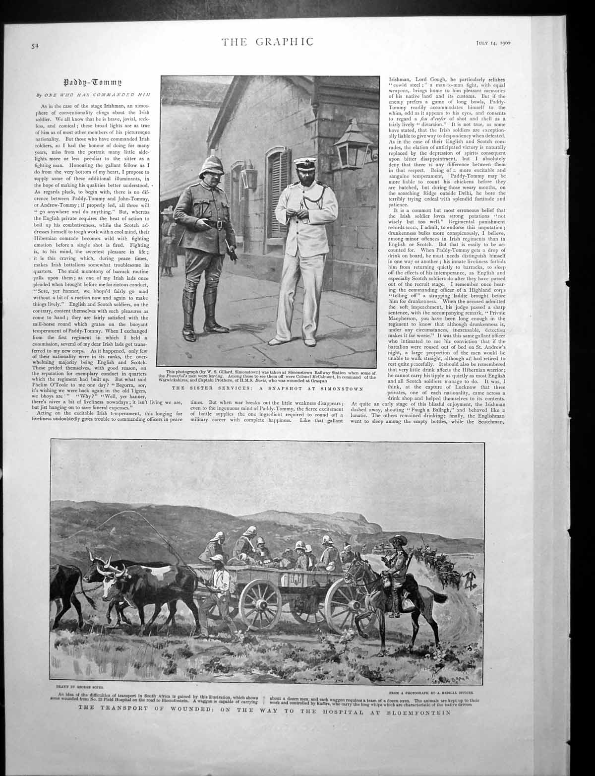 Old Print Transport Wounded Oxen Pulling Cart Hospital Bloemfontein 1900 20th