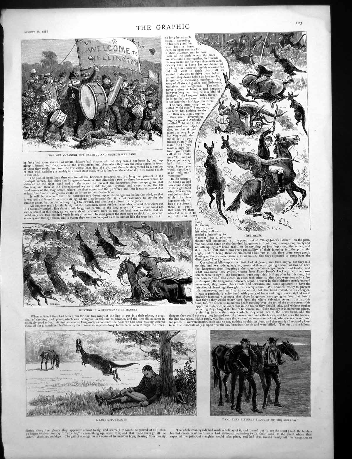 Antique Print Kangaroo Hunt Band Melee Antipodean Wallflowers Babies 1886 19th