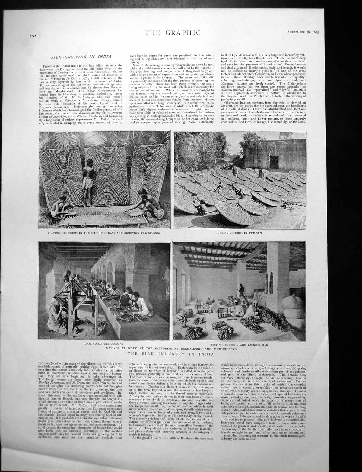 Antique Old Print Silk Industry India Spinning Trays Princess Alexandra 1895