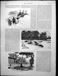 Old Print Native Forge Budiman Hippopotamus Pool Orchids Crocodile 1886 19th