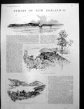 Antique Old Print Pelorus Sound New Zealand Picton Tree Fern GDigging 1887