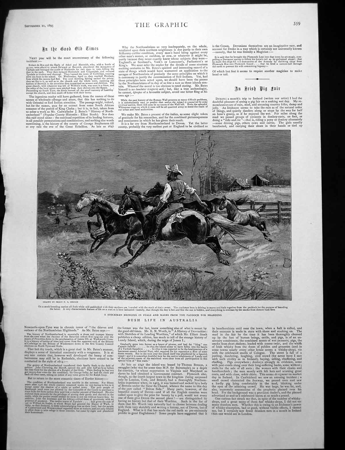 Antique Old Print Australian Stockman Foals Mares Worship Bromo Java 1895 19th