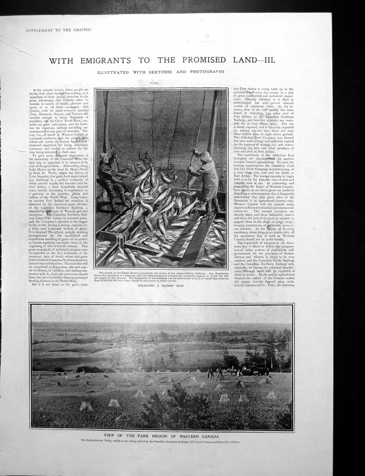 Old Print Canada Unloading Salmon Trap Park Region Lloydminster Landing