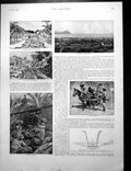 Old Print Managua Railway Construction Bananas World Map Sea Routes 1895 19th