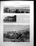 Antique Print Views Hyeres Residence Queen Pavilion Villa Clementine 1892 19th