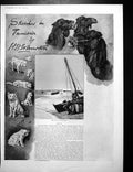 Old Print Arab Dogs Camels Boats Spanish Castle Bor Humt Suk Jerba Woman