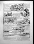 Antique Old Print Kennet Heath Barton Dry Dayton Fen Stanton Holywell 1890
