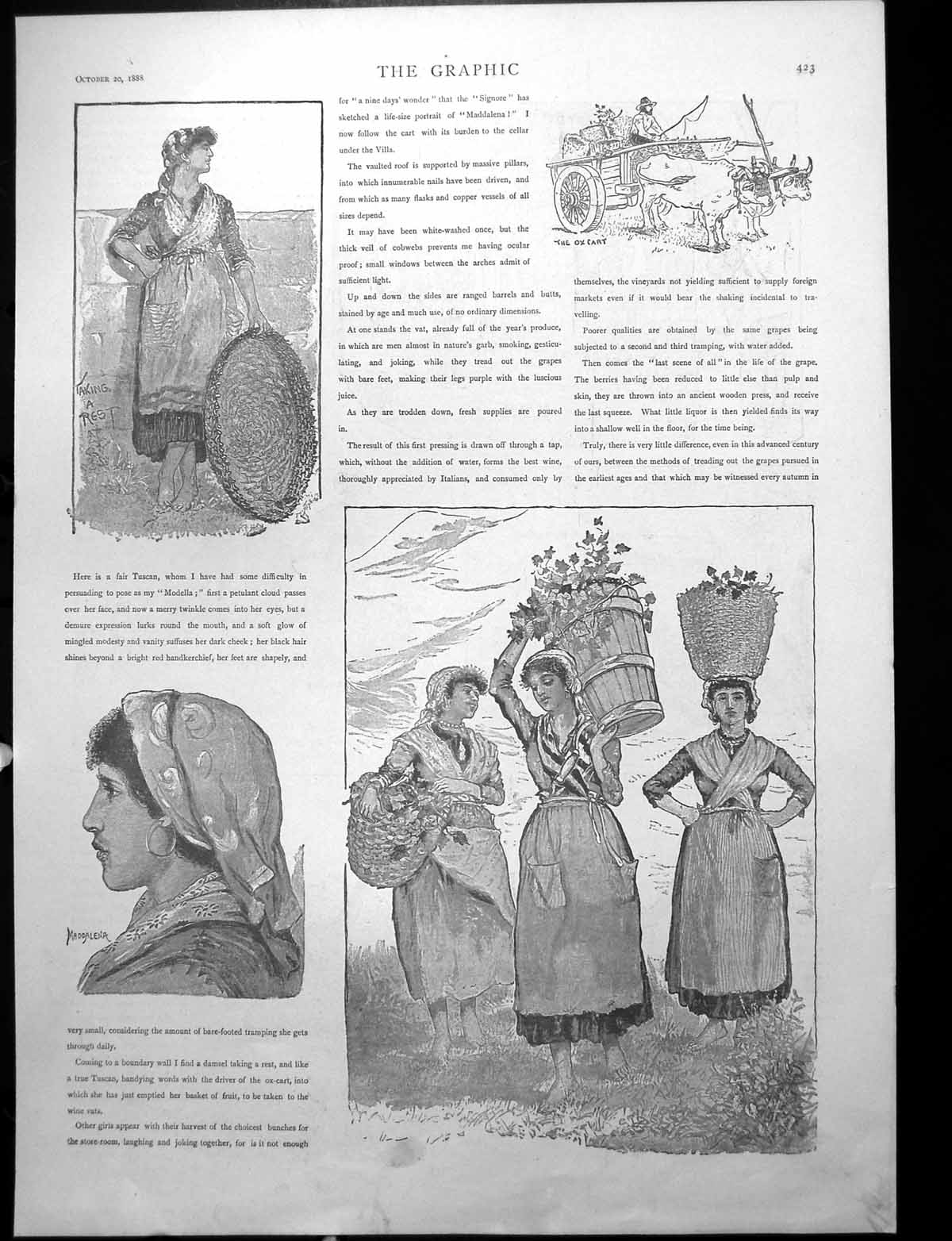 Antique Print Tuscan Ladies At Rest Carrying Baskets Wine Cellar Oxen 1888