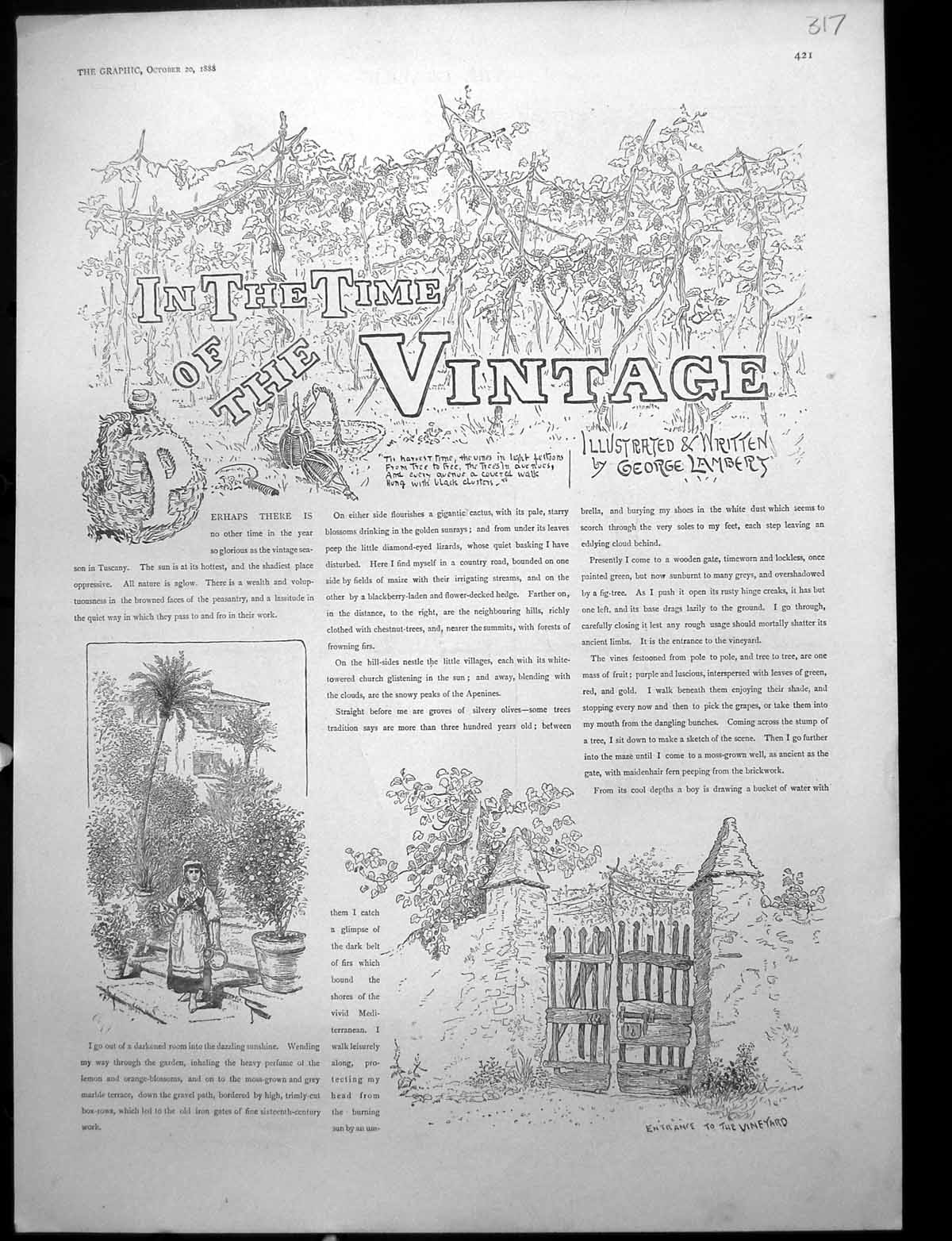 Old Print Tuscany Lady Jug Trees Gate Gathering The Grapes Vineyard 1888 19th