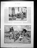 Old Nile Expedition Surgery Stuffing Pads Camels King Tawiiiao 1895Victorian