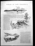 Old Antique Print Whaling Station Russell Bay Islands Pelorus Sound 1887 19th