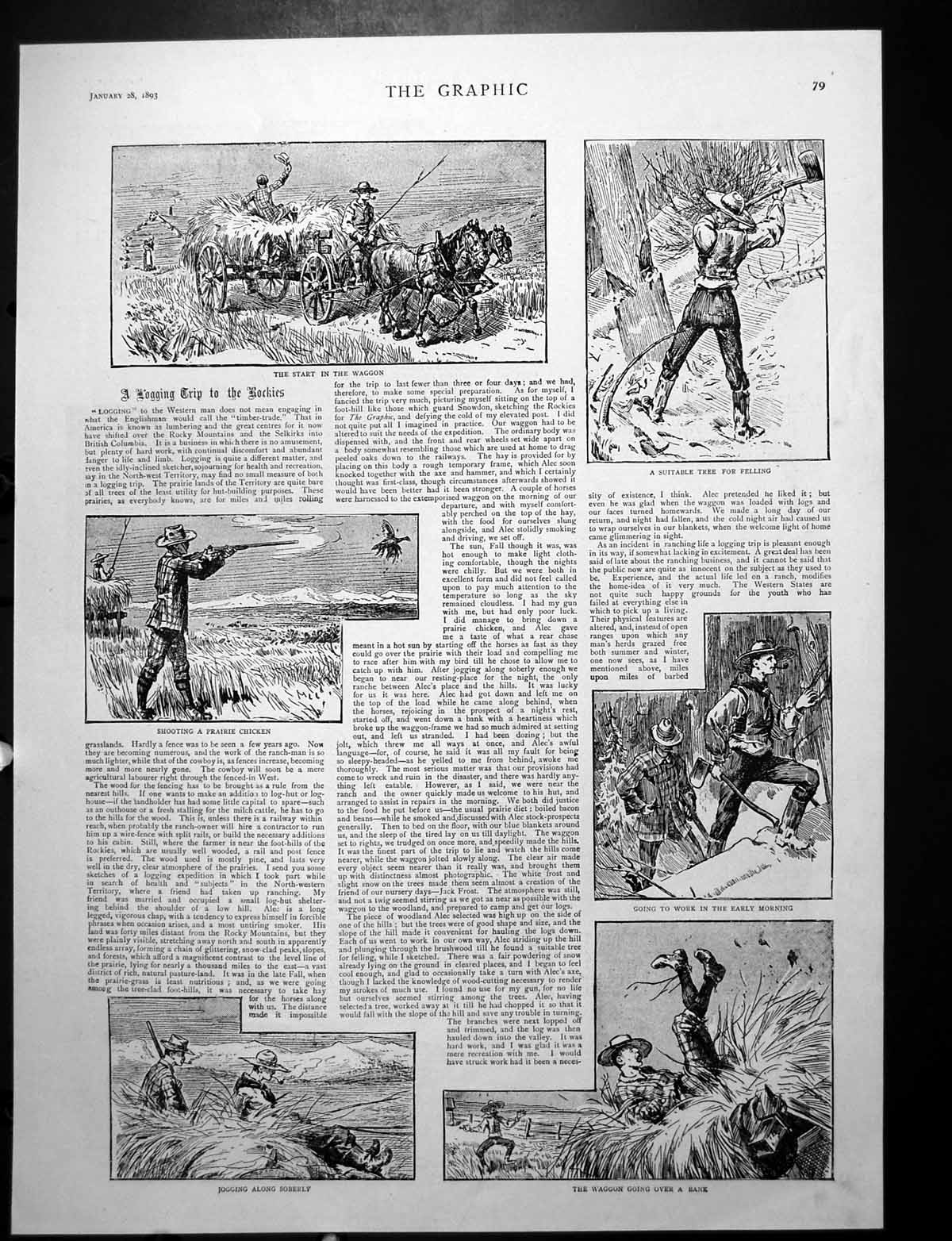 Old Logging Trip Rockies Shooting Prairie Chicken Waggon Horses 1893Victorian