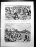 Antique Print Supplies Goat Return Picket Outpost Holy Week Jerusalem 1900