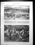 Old Print General Buller'S Advance Helpmakaar Heights Mafeking Day 1900 20th