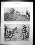 Old Advance Free State Balloon Section Boer Plan Magersfontein 1900Victorian