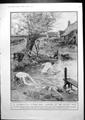 Antique Old Print Interrupted Summer Idyl Bathing Battle Zone Frank Dadd 1917