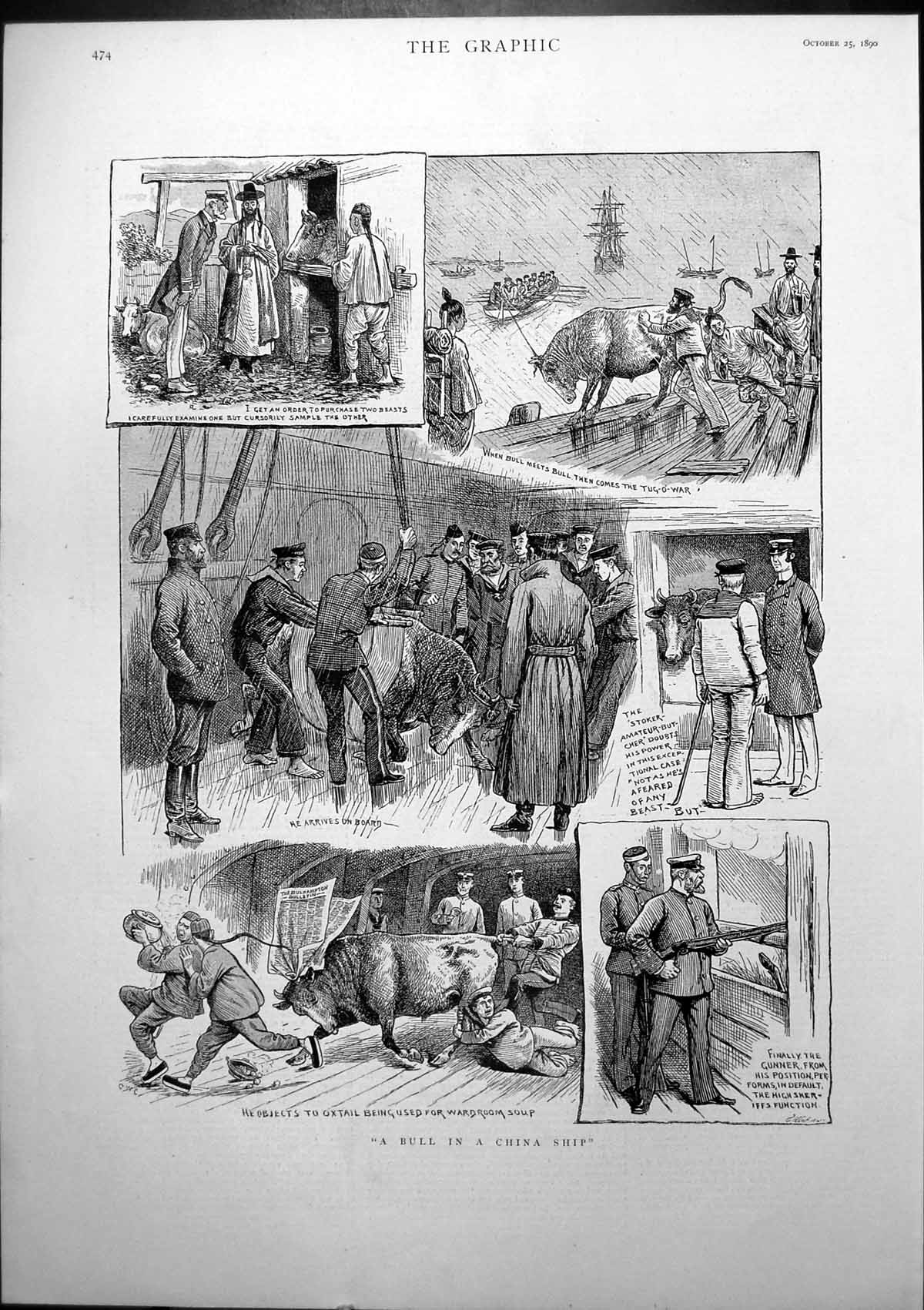 Old Bull In China Shop Order Two Bulls Arrives On Board Charges 1890 Victorian