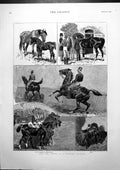 Antique Print Life Career Military Charger Childhood Remount Education 1890