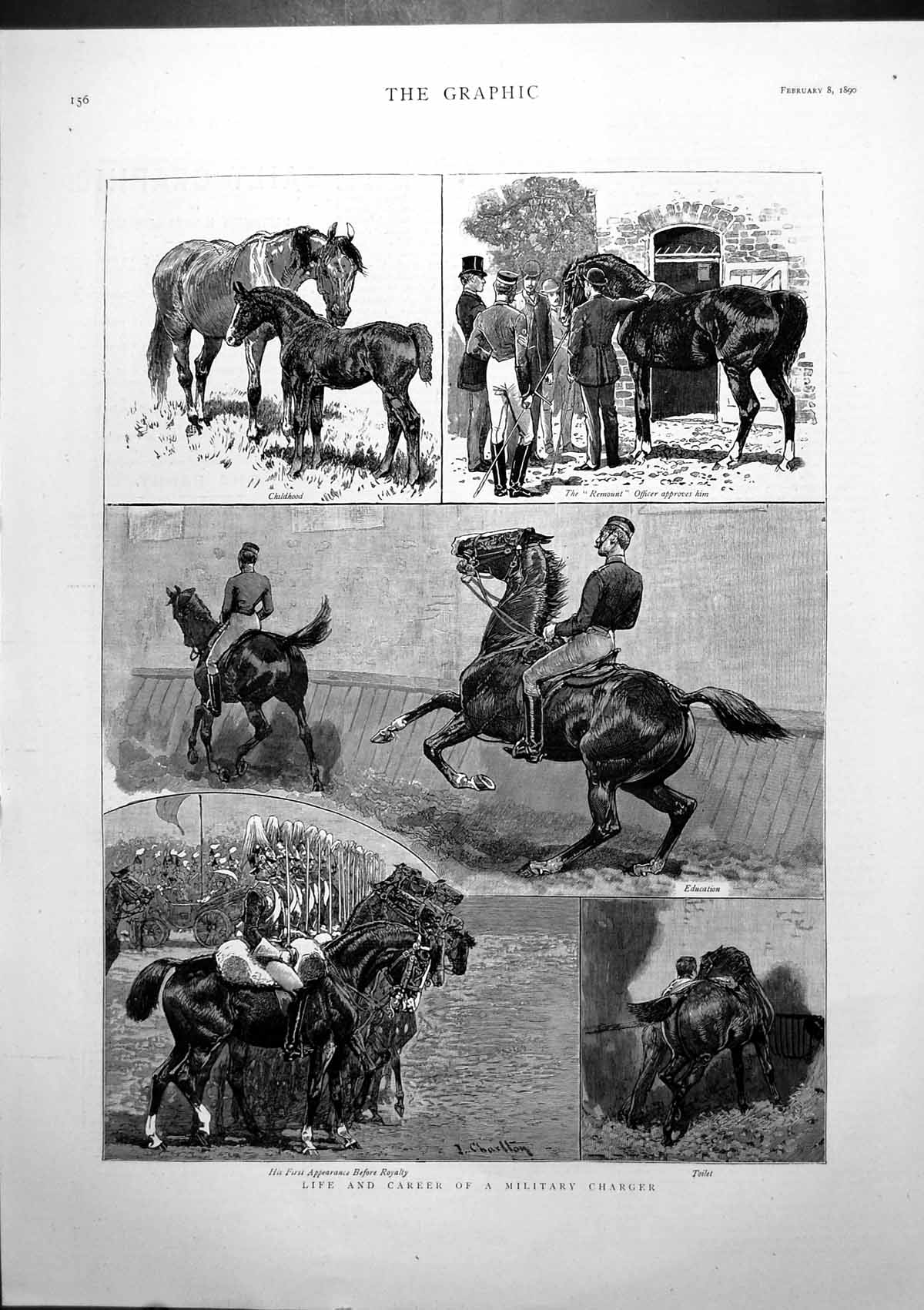 Antique Print Life Career Military Charger Childhood Remount Education 1890