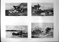 Antique Print Pictures Cloudy June Run Dry Noonday Rest Miss M Wayden 1894 19th